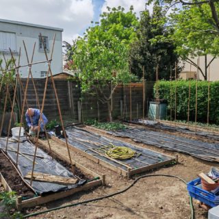 Jardin en cours serre 2