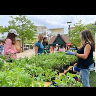 Développement durable de 2022 vente de légumes, aromates de la serre 1