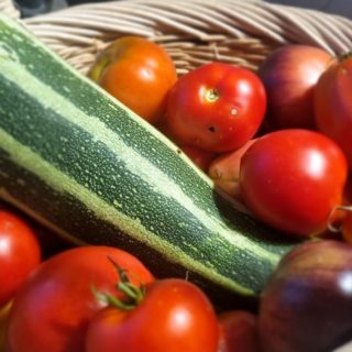 Petite récolte du jour ...