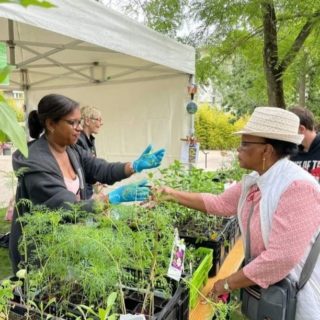 Vente de fleurs de la serre 2 par Lina ( trésorière et responsable de la serre 2)