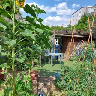 Jardin de la serre 2