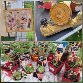 Journée du Développement Durable, sans oublier la Fête des mères, des petits cadeaux à offrir et des plants a faire pousser.
N'hésitez pas à passer aux 3 serres (clos des arbustes rue fourcade et rue vernadat allee de la mauve et allee robert debré magasin Biocoop), il en reste quelques uns !