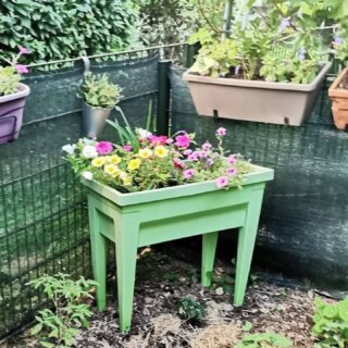 Très mignon 🥰 le jardin de Josette 🌸🌶🥀🌺🌱