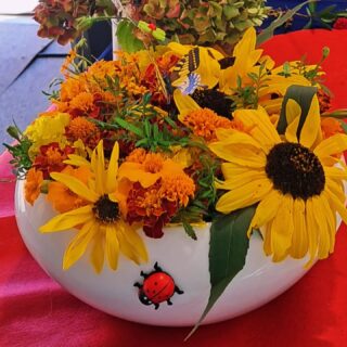 Tournesols, œillets d'inde, Heliantus, Tagètes....
Fleurs made in Graines de Ville 🥰